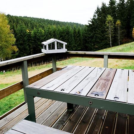 Chalet Le Forestier Бюллінген Екстер'єр фото