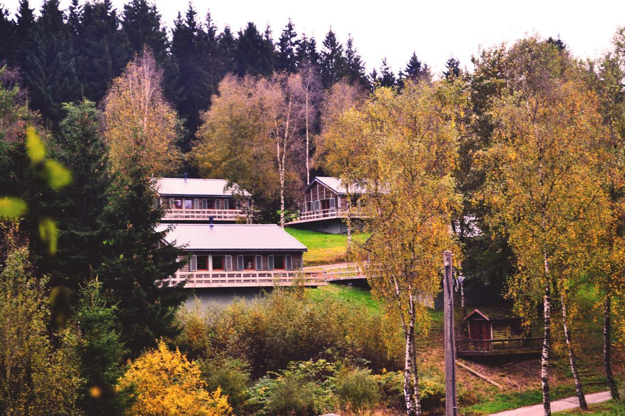 Chalet Le Forestier Бюллінген Екстер'єр фото