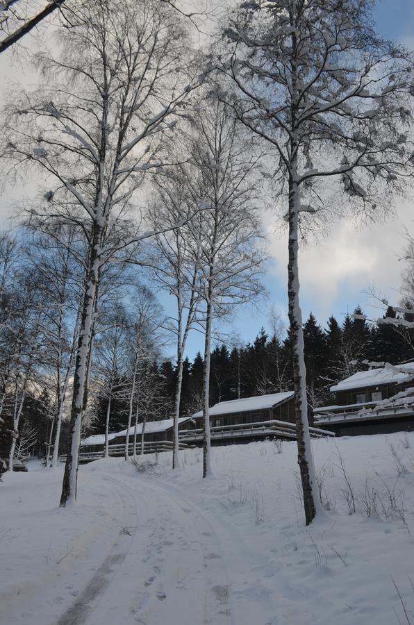 Chalet Le Forestier Бюллінген Екстер'єр фото