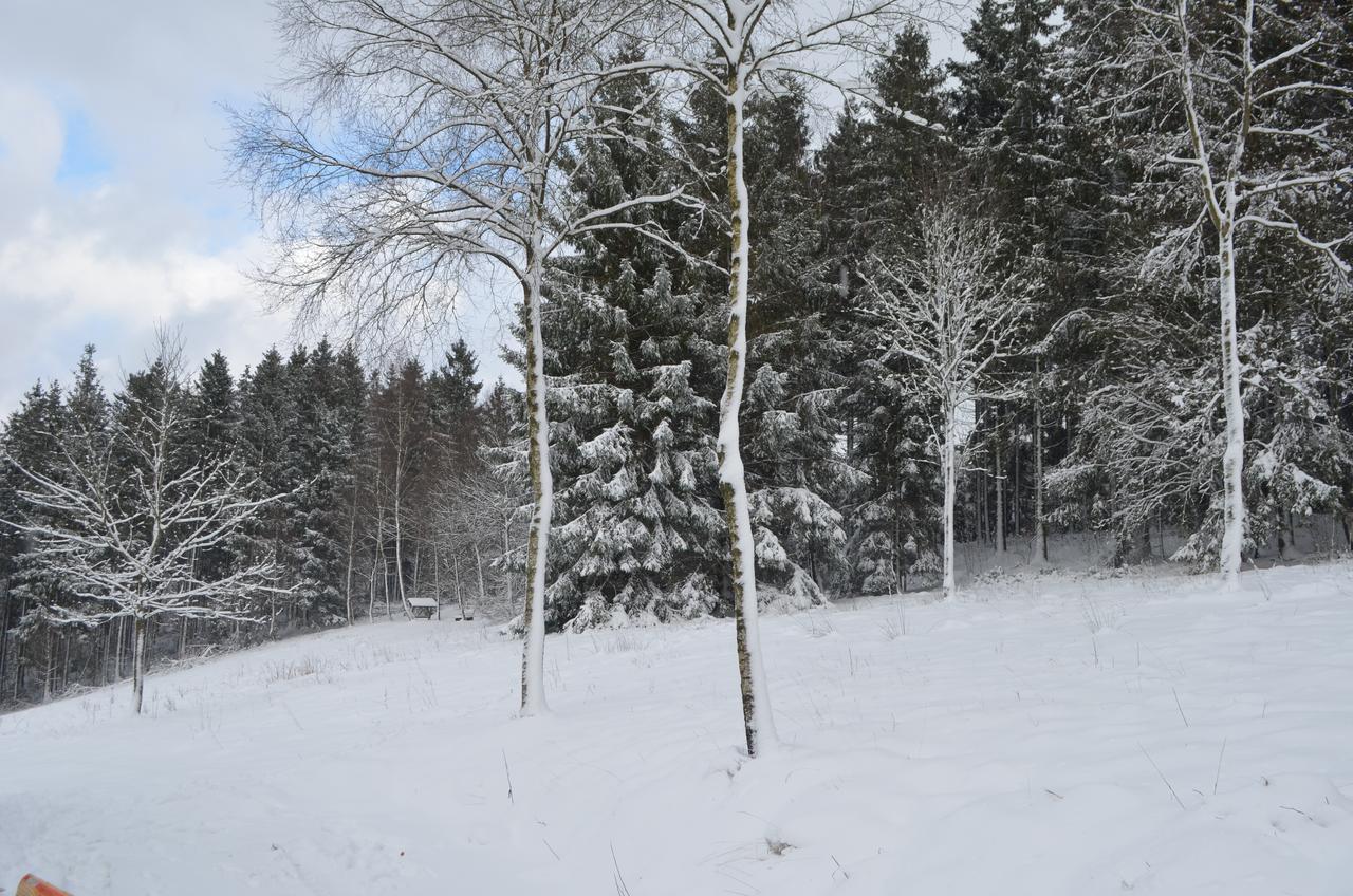 Chalet Le Forestier Бюллінген Екстер'єр фото