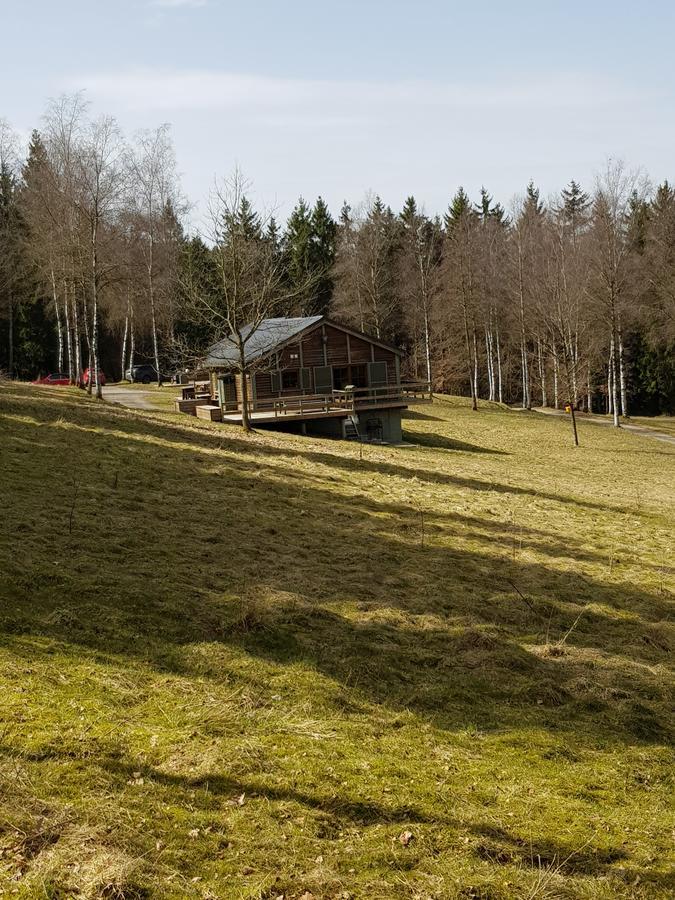 Chalet Le Forestier Бюллінген Екстер'єр фото