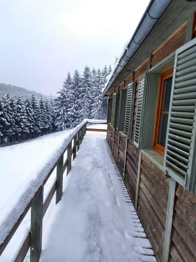 Chalet Le Forestier Бюллінген Екстер'єр фото