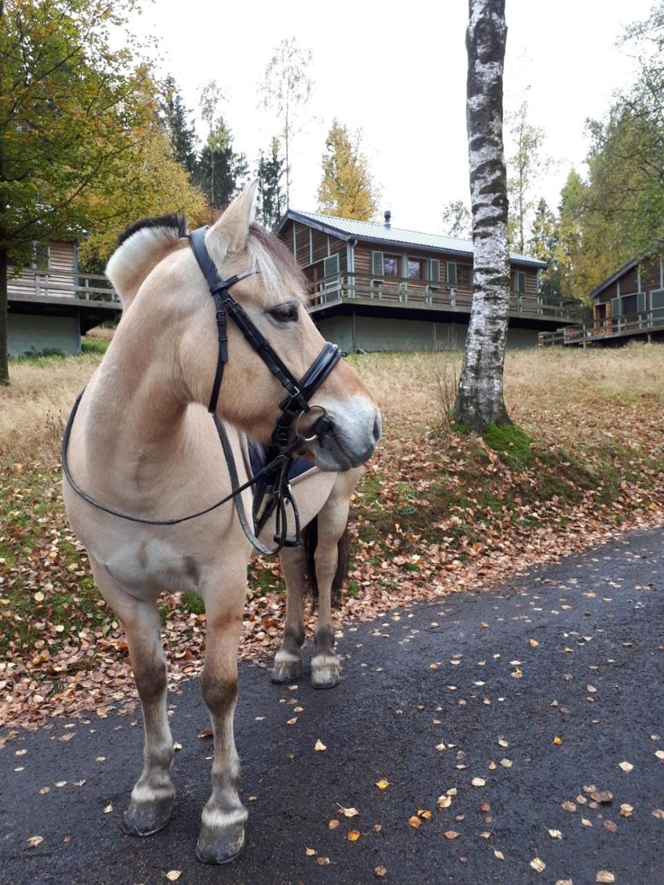 Chalet Le Forestier Бюллінген Екстер'єр фото