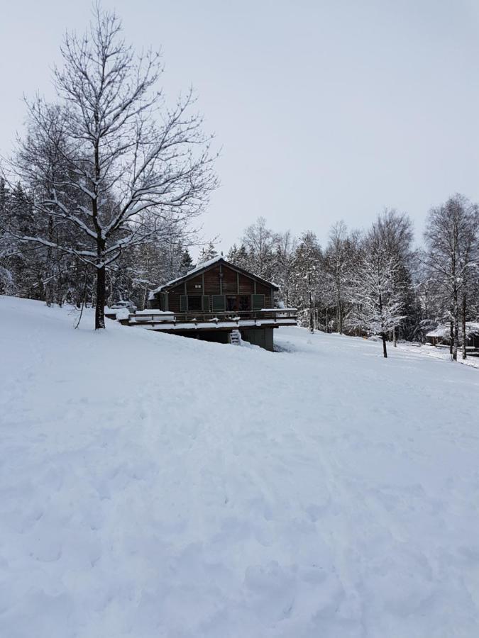 Chalet Le Forestier Бюллінген Екстер'єр фото